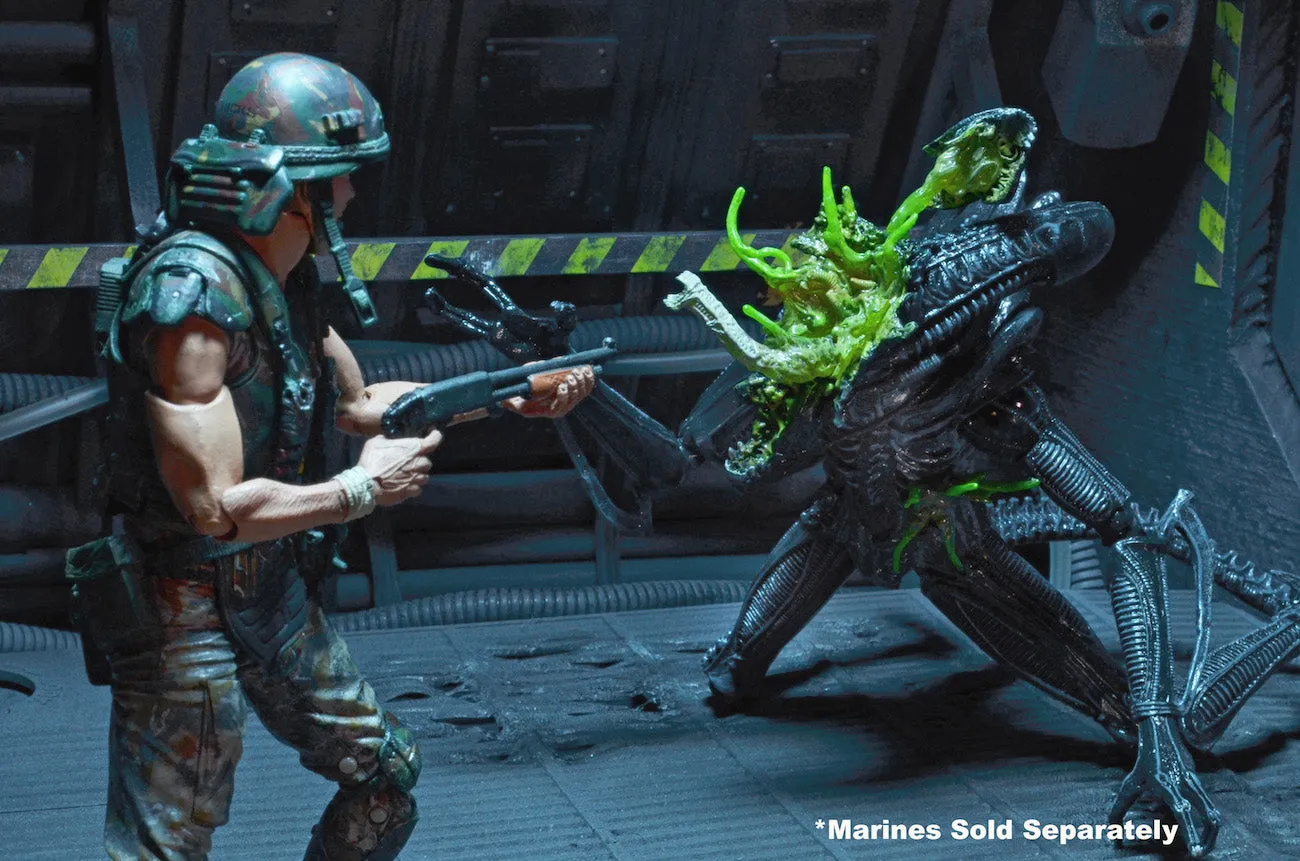 ALIENS SERIES 12: Xenomorph Warrior Battle Damaged (Blue) Action Figure