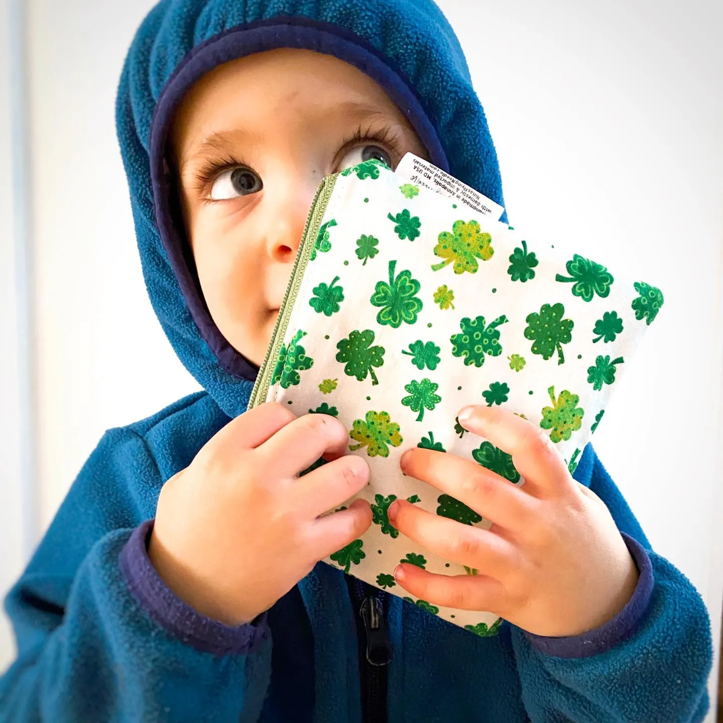 Toddler Sized Reusable Zippered Bag Fairies With Glitter